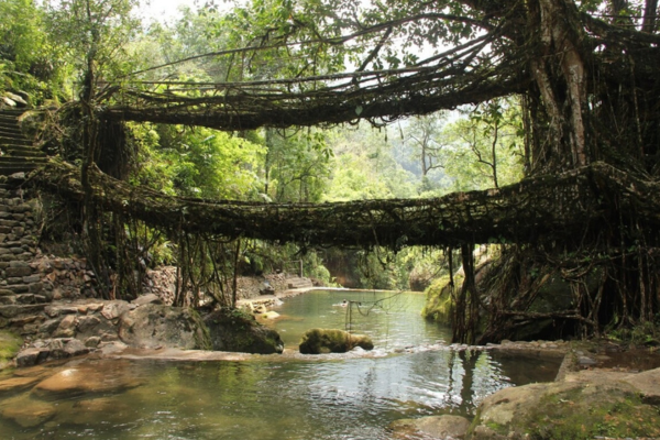 Meghalaya